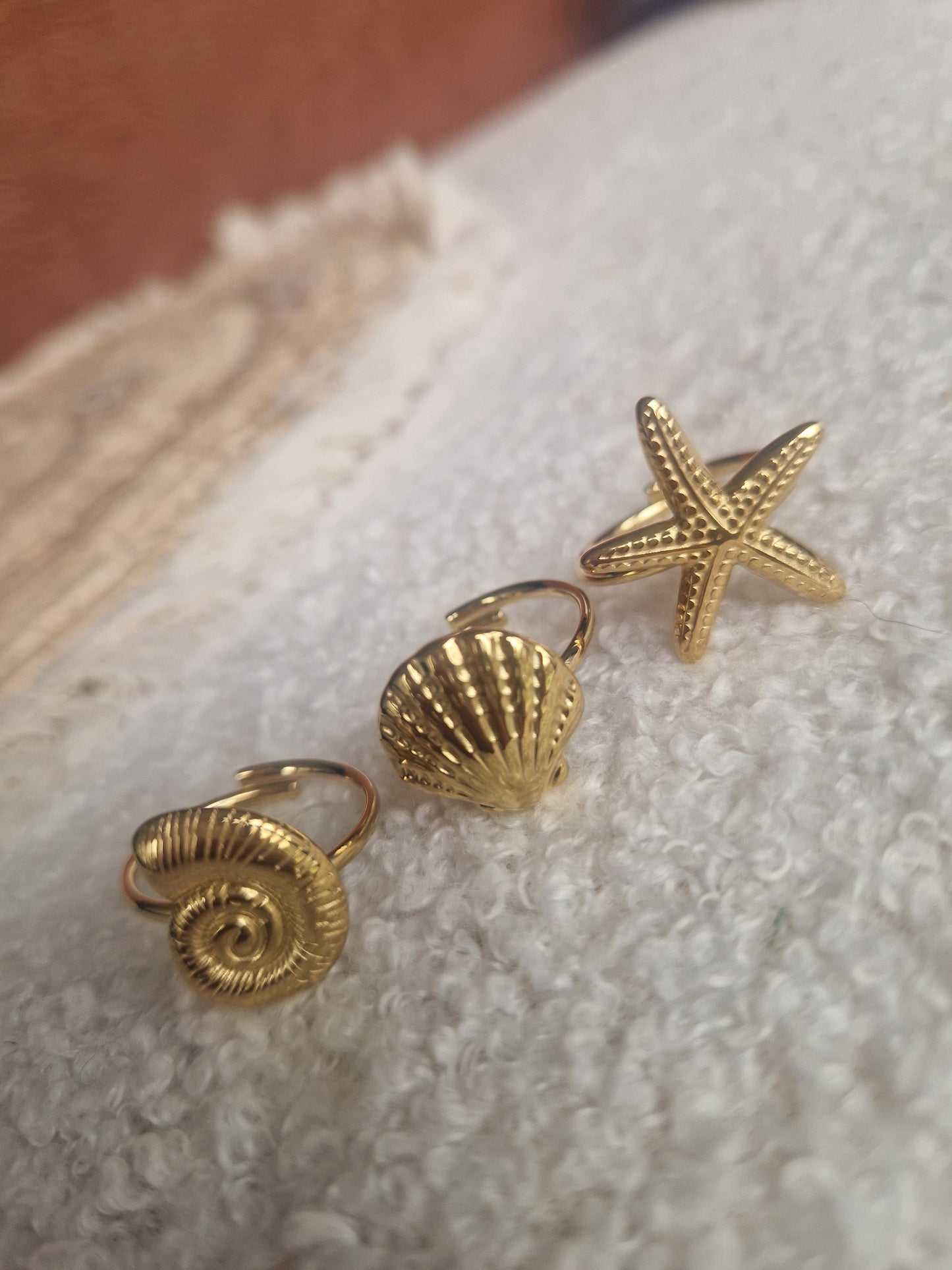 3 ringen schelp