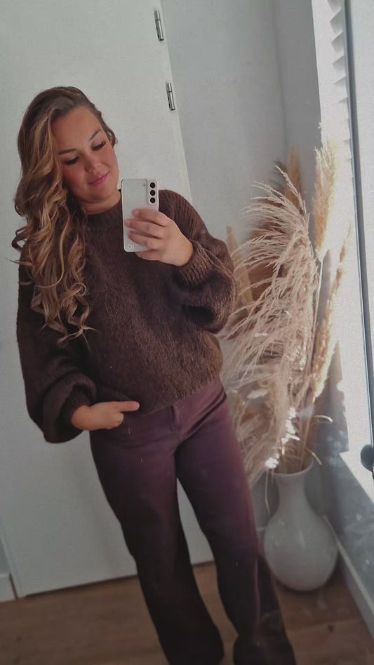 Trui anna bruin