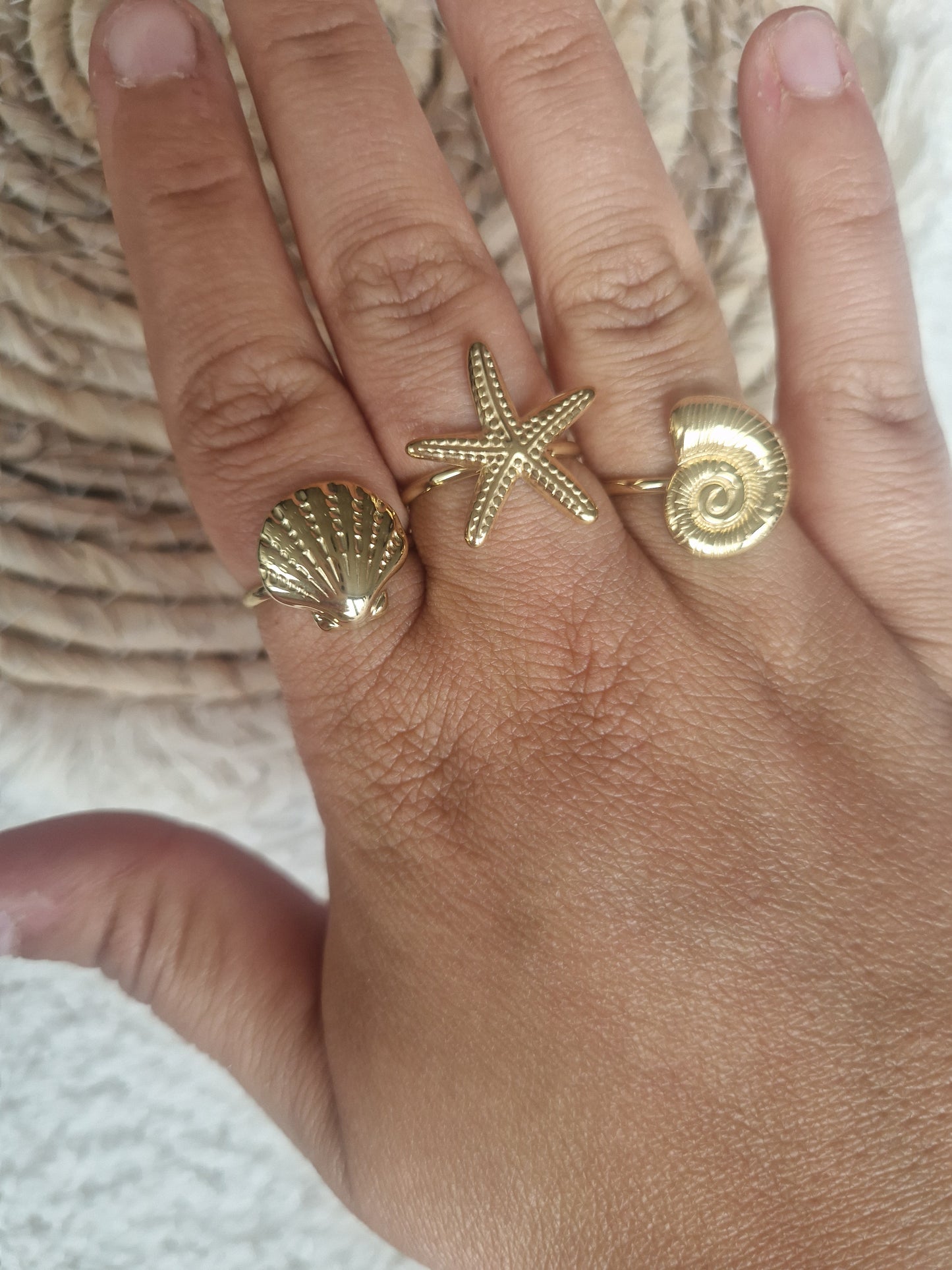 3 ringen schelp