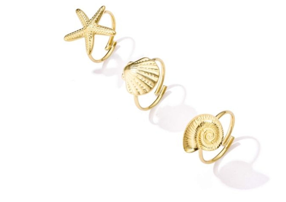 3 ringen schelp