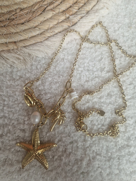 Ketting lang zeester
